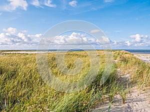 View to North Sea from dunes with marram grass and beach of nature reserve Boschplaat on Terschelling, Netherlands photo