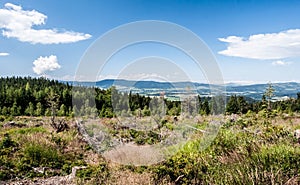 View to Orlicke hory mountain range from hiking trail bellow Klepy hill in Kralicky Sneznik mountains in Czech republic