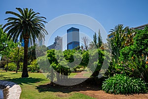 A view to Perth City from Government House landscaped gardens