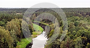 View to the pinewood treetops and winding Sventoji River