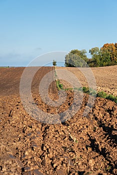 View to plowed field