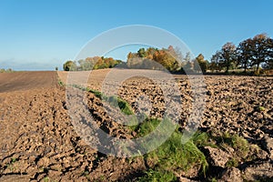 View to plowed field