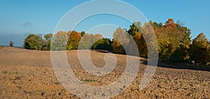 View to plowed field