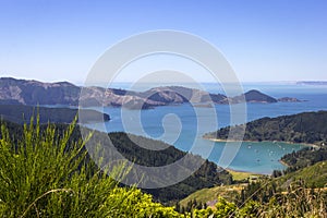 View to Port Underwood and Hakahaka Bay near Picton, New Zealand