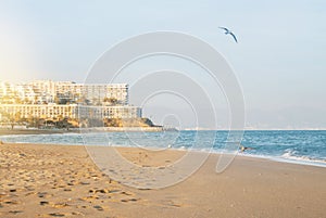 A view to a resort hotel building at the seashore, a seagull and