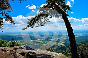 View to the Rhine valley