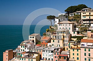 View to Riomaggiore (Cinque Terre)