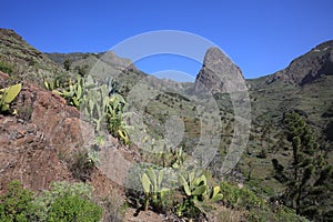 View to Roque de Agando and Valley of Benchijigua - Garajonay National Park on Canary Islands. La Gomera