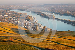 View to Ruedesheim along river Rhine