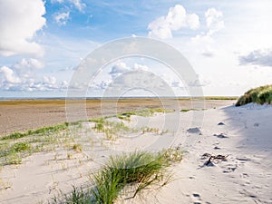 View to sand flats of Wadden Sea at low tide from beach of nature reserve Boschplaat on island Terschelling, Netherlands photo