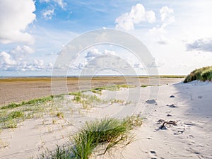 View to sand flats of Wadden Sea at low tide from beach of nature reserve Boschplaat on island Terschelling, Netherlands