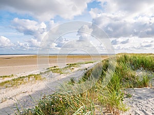 View to sand flats of Wadden Sea at low tide from dunes and beach of nature reserve Boschplaat on island Terschelling, Netherlands