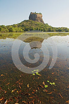 View to the Sigiriya rock fortress with reflection in water in Sigiriya, Sri Lanka.