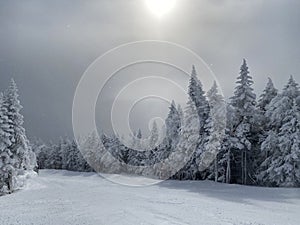 View to ski slopes with lot of fresh powder snow at Stowe Mountain resort VT