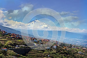 View to the snowy Teide, across the green terraced fields of the north of Tenerife