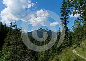 View to some hills near the german lake called Spitzingsee photo