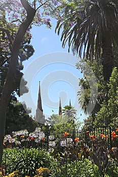 View to the spires of the St. Patrick`s Cathedral with beautiful blue Agapanthus and orange Cana flowers in front in Melbourne, Au