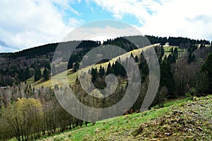 View to the spring landscape in the Ore Mountains