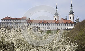 View to Strahov monastery at spring, Prague