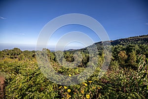 View to the summit of Mount Elgon run by Uganda Wildlife Authority.