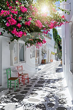 View to the typical small alleys with white houses and colorful flowers at the cycladic town of Parikia, Paros