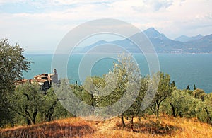 View to village pai, olive grove and garda lake, italy