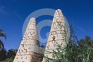 View To White Twin Pigeon Tower At Siwa Oasis, Egypt