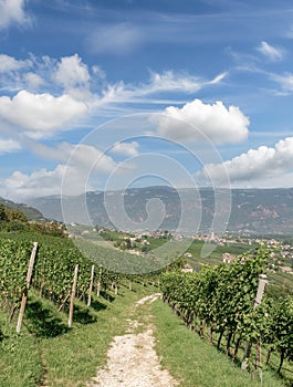 View to Wine Village of Appiano or Eppan,Trentino,South Tirol,Italy