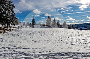 View to a winter landscape near Marisel village from Cluj county, Romania