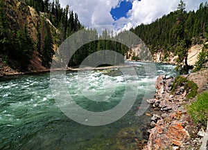 View To Yellowstone River From The Brink of Lower Falls Viewpoint