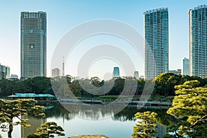 View of tokyo cityscape with park