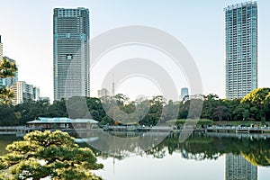 View of tokyo cityscape with park