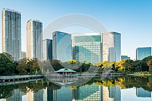 View of tokyo cityscape with park