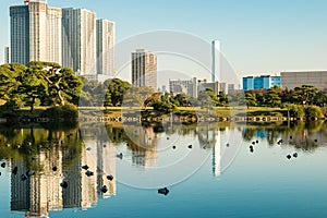 View of tokyo cityscape with park