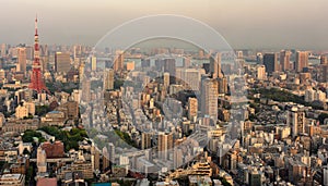 View of the Tokyo cityscape, from the Tokyo Metropolitan Government Building