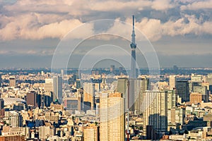 View of the Tokyo cityscape, from the Tokyo Metropolitan Government Building