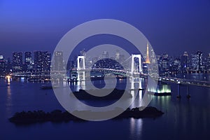 View of Tokyo downtown at night