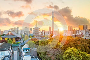 View of Tokyo skyline with Senso-ji Temple