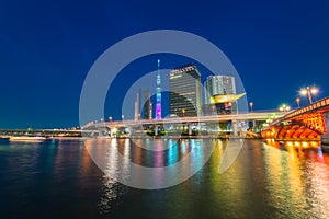 View of Tokyo skyline from Sumida river