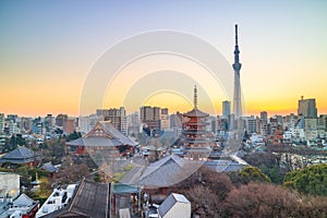 View of Tokyo skyline at twilight