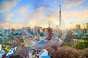 View of Tokyo skyline at twilight