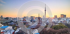 View of Tokyo skyline at twilight