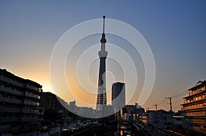 View of the Tokyo SkyTree during sundown