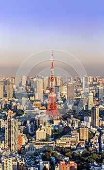 View of Tokyo tower from Roppongi Hill Tokyo,Japan