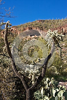 View of Tonto National Monument