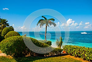 The view from the top Exotic Paradise. Tropical Resort. Caribbean sea Jetty near Cancun. Mexico beach tropical