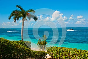 The view from the top Exotic Paradise. Tropical Resort. Caribbean sea Jetty near Cancun. Mexico beach tropical