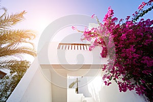 The view of top floor of house in the tropical garden with balcony and roof