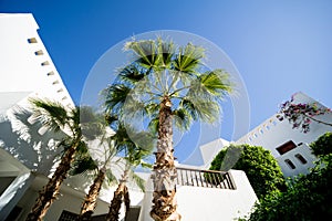 The view of top floor of house in the tropical garden with balcony and roof