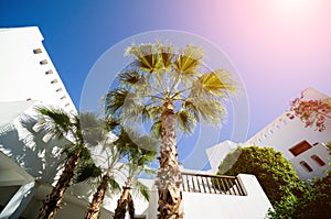 The view of top floor of house in the tropical garden with balcony and roof